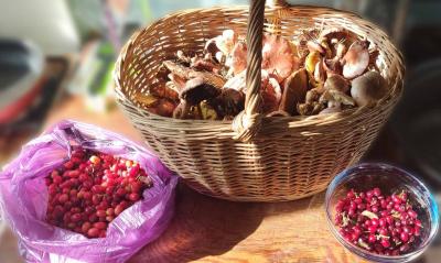 Прикрепленное изображение: IMG_20231003_144428.jpg